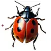 پکیج جهش (تخصصی)