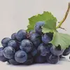 آموزش طرح انگور(سه بعدی)