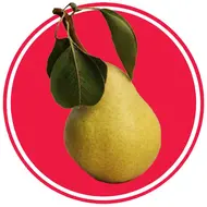 آموزش کامل گلابی