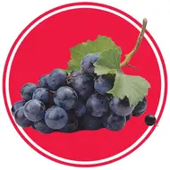 آموزش طرح انگور(سه بعدی)