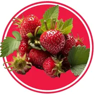 آموزش کامل میوه
