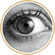 آموزش تخصصی چشم (تناژ خاکستری)