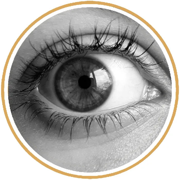 آموزش تخصصی چشم (تناژ خاکستری)